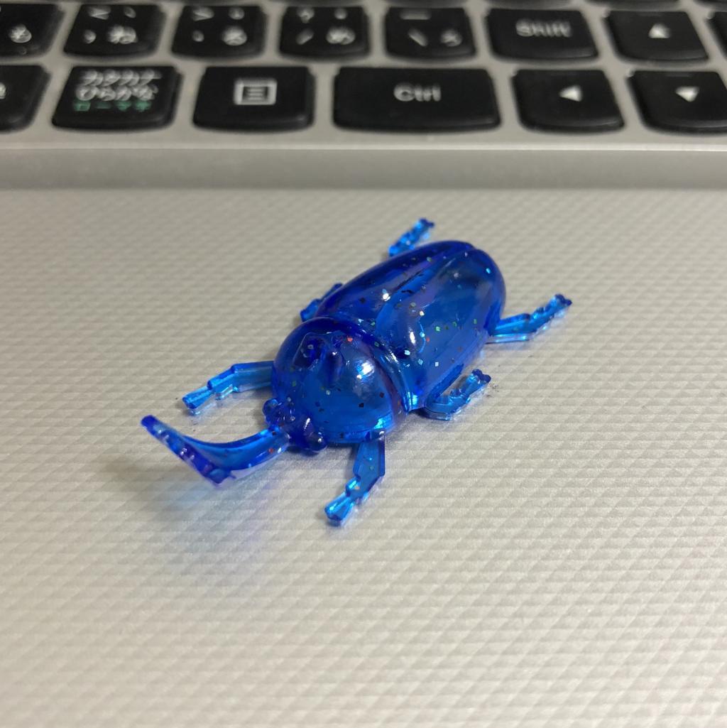 カブトムシ