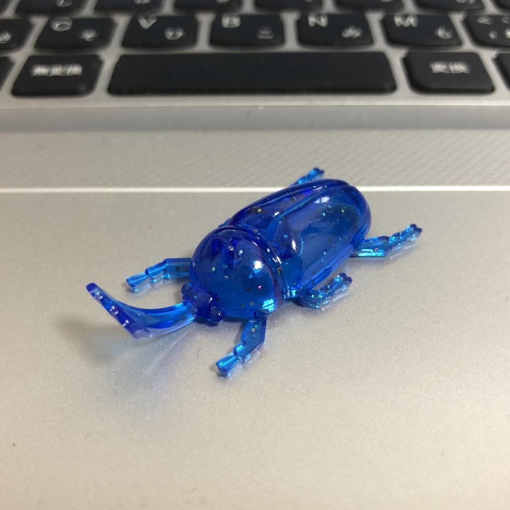 カブトムシ