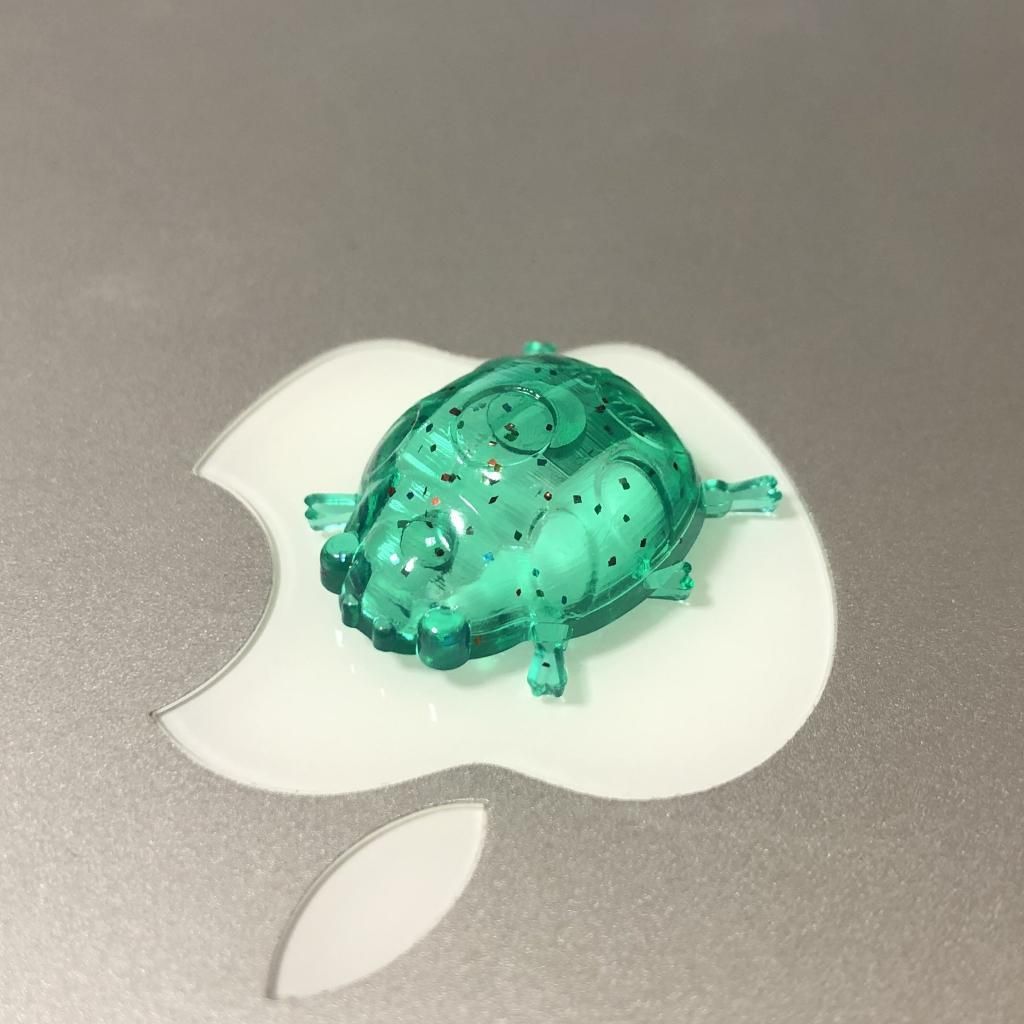 てんとう虫