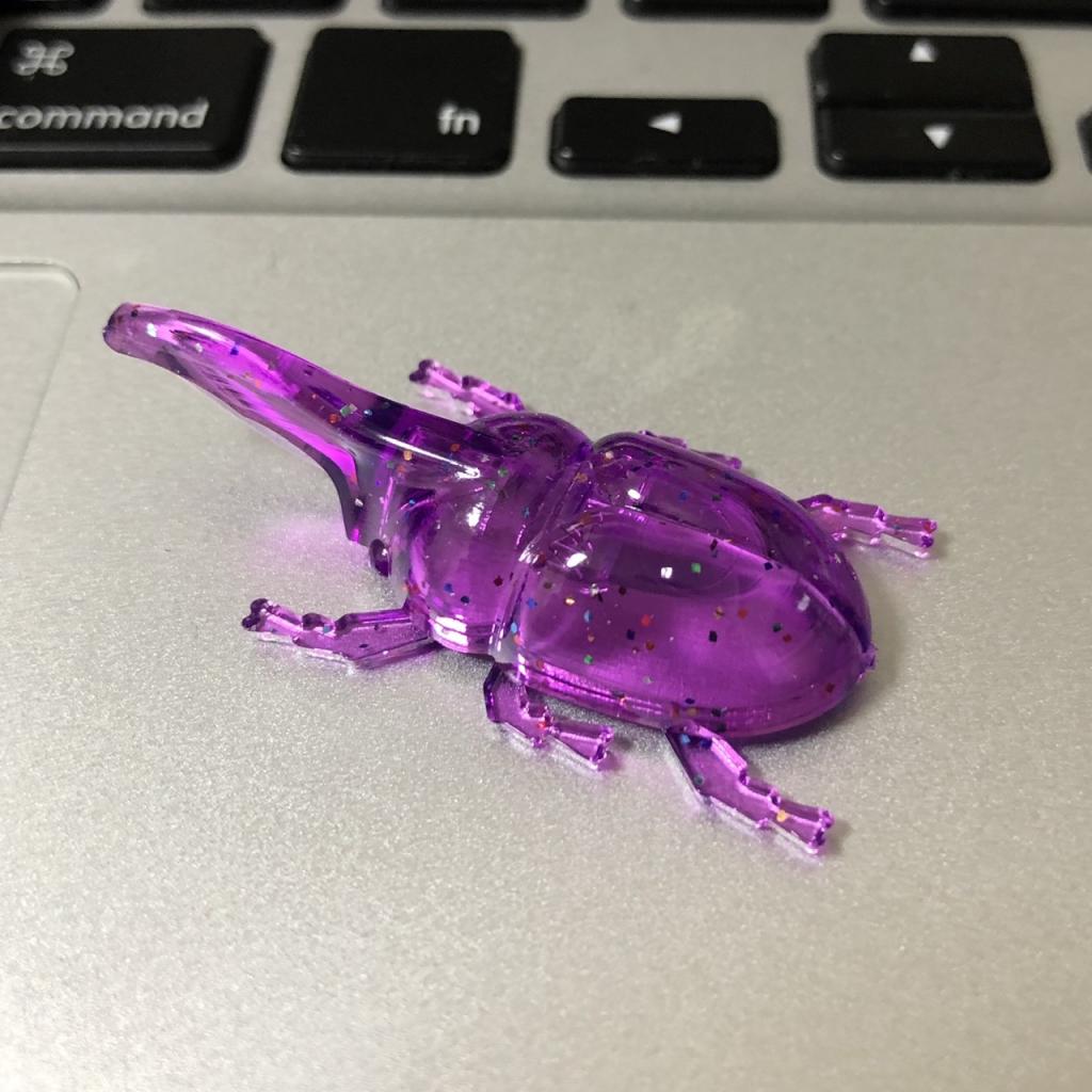 カブトムシ