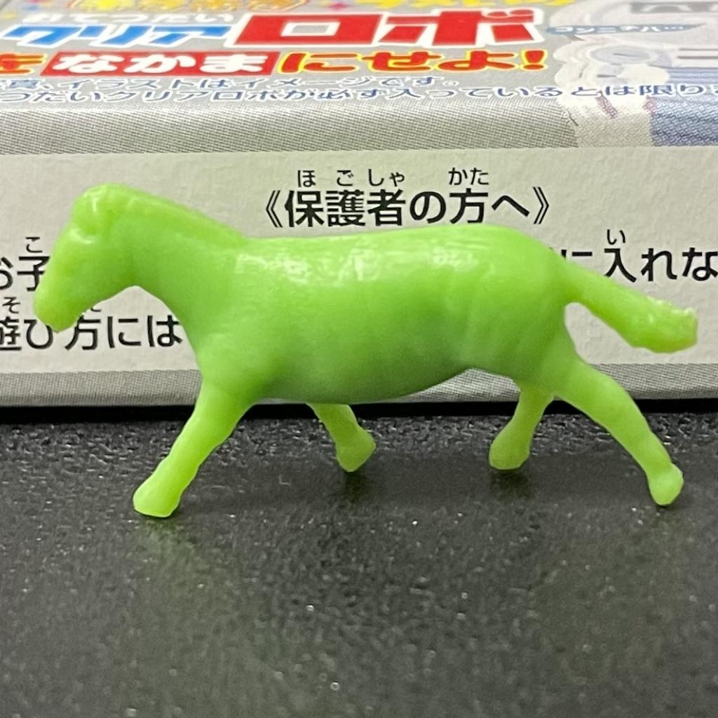 シマウマ