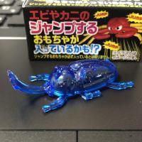 カブトムシ